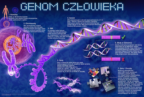 Human-Genome-Lightbox